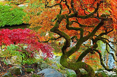 传闻：PSVR2的线材可更换 主机端使用USB-C